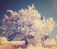 点卡交易市场的免费短信呼死你2023